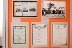 pannelli mostra (12)